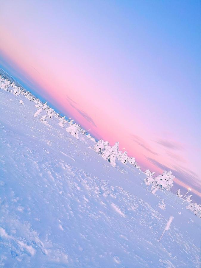 Levi Sky Igloo With Private Sauna And Hot Tub Extérieur photo